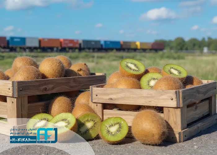 روش حمل و متداول‌ترین مسیر صادرات کیوی به روسیه
